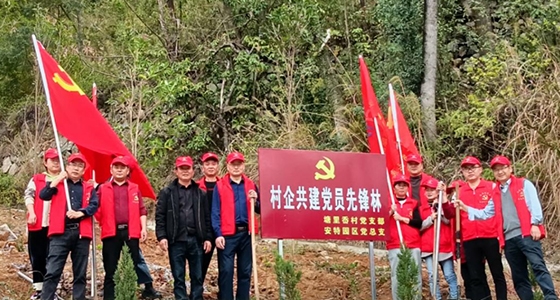 村企共建，，，，，，，，共植先锋林